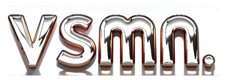 vsmn logo